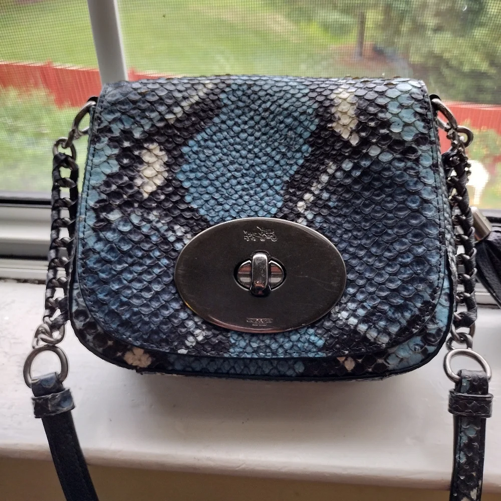 Coach bag gray python Leather_11